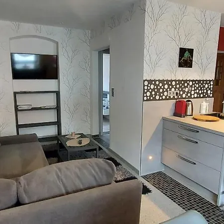 Hochwertige Ferienwohnung/zentrumsnahe Lage! Reichenbach im Vogtland Exterior foto